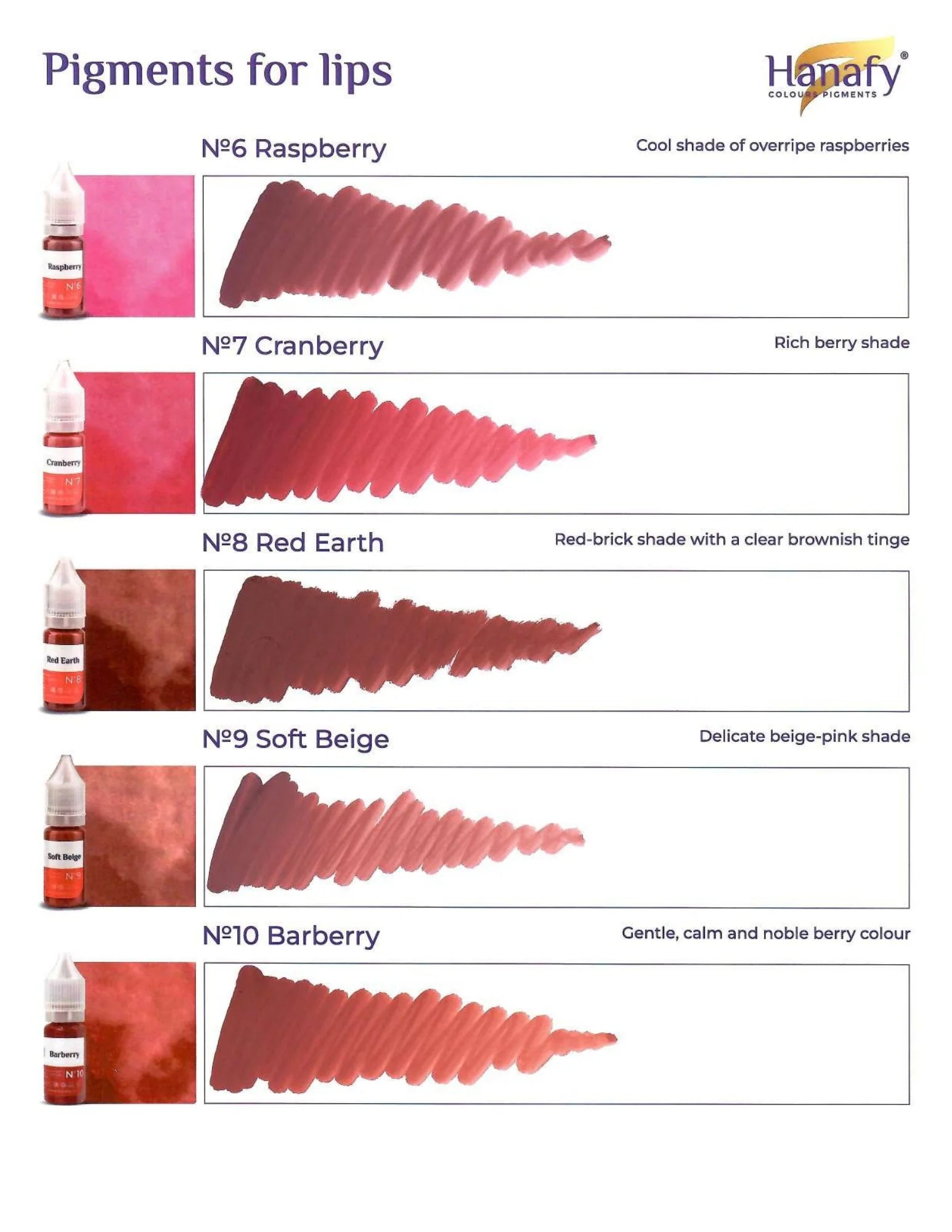 Hanafy Full Lip Pigment Set 10ml