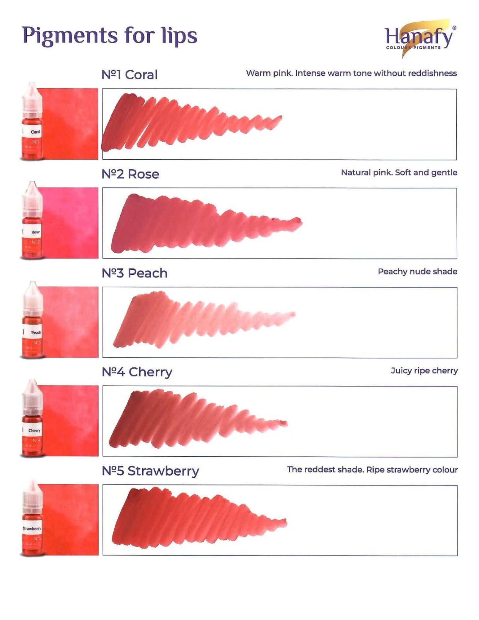 Hanafy Full Lip Pigment Set 10ml